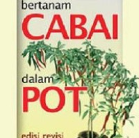 Bertanam Cabai dalm POT