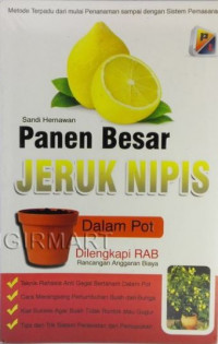 Panen Besar JERUK NIPIS Dalam Pot