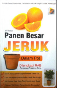 Image of Panen Besar JERUK Dalam Pot